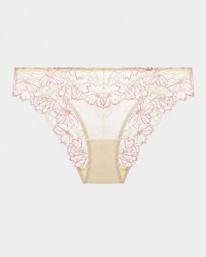 Gradient Floral Lace Sheer Mesh Briefs